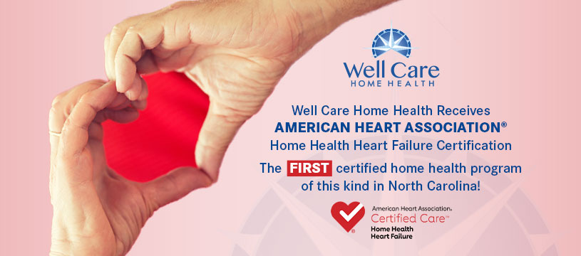 Well Care Home Care